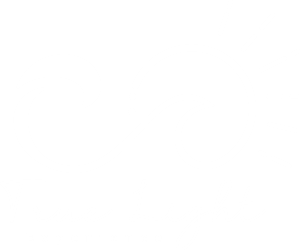 truelight logo2